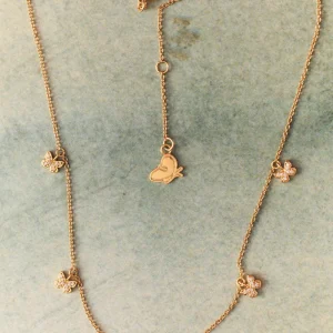 apodemia collares