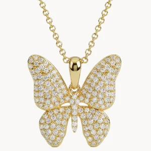 apodemia collares